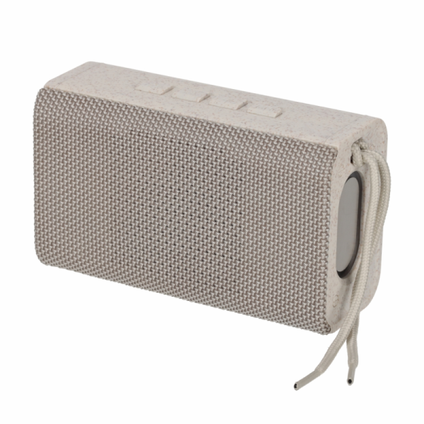 BRAINZ Speaker Kane Wheatstraw